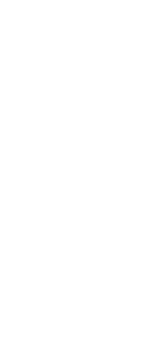 老枪