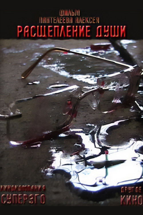 Расщепление души poster