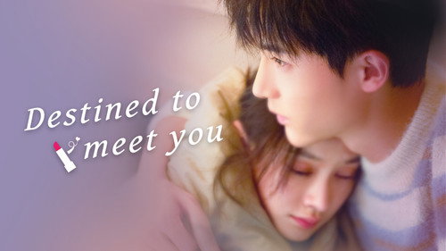 Destined to Meet You