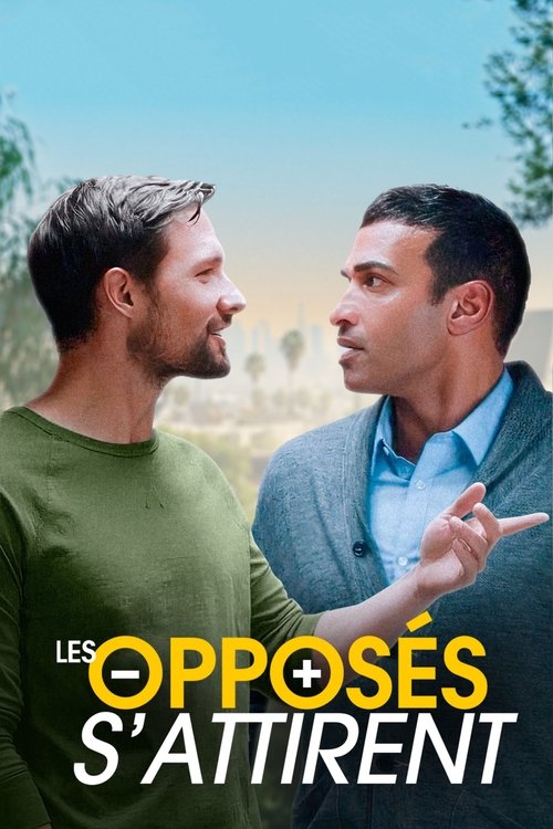 Les Opposés s'attirent Poster