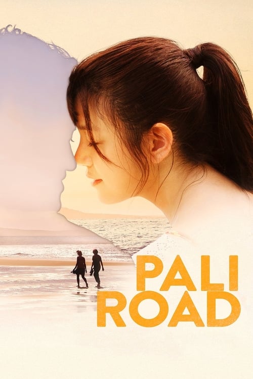 Grootschalige poster van Pali Road