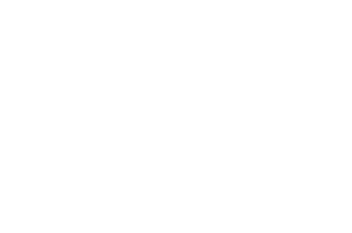 Den sista resan