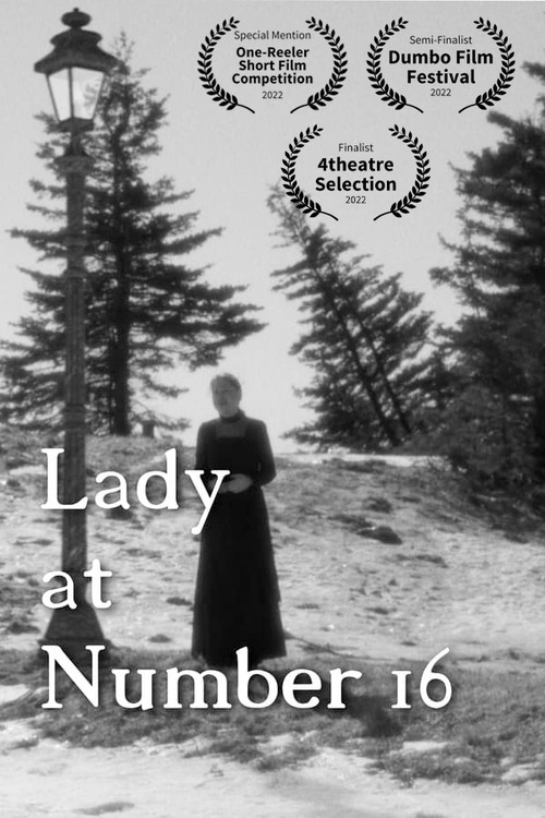Lady at Number 16 poster