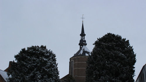 De Verboden Vrucht Backdrop Blur
