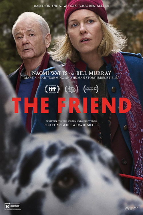 The Friend poster