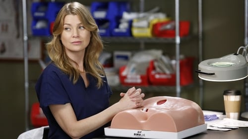 Grey’s Anatomy: 9×13