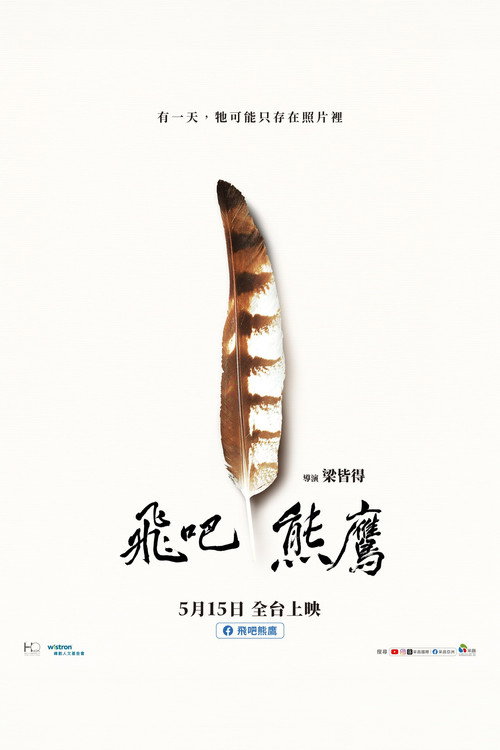 Fly! Mountain Hawk-Eagle poster