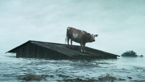 O Brother, Where Art Thou?