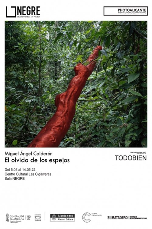 El olvido de los espejos poster