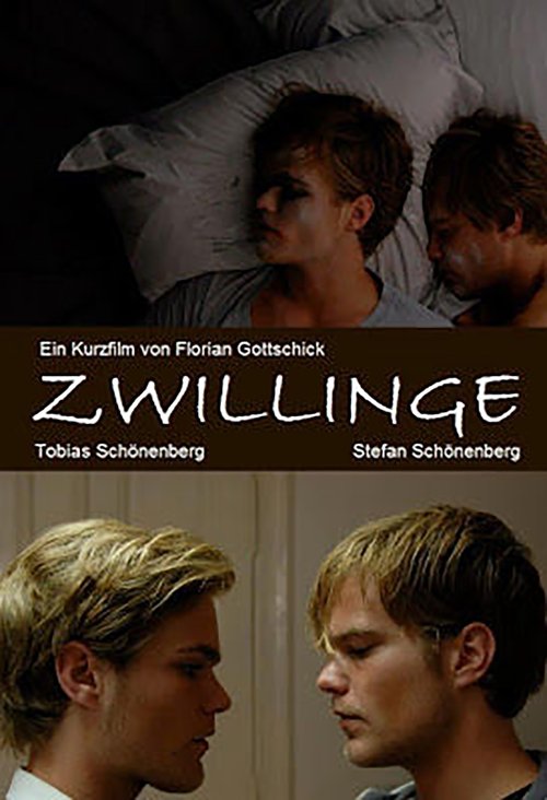 Zwillinge movie poster player