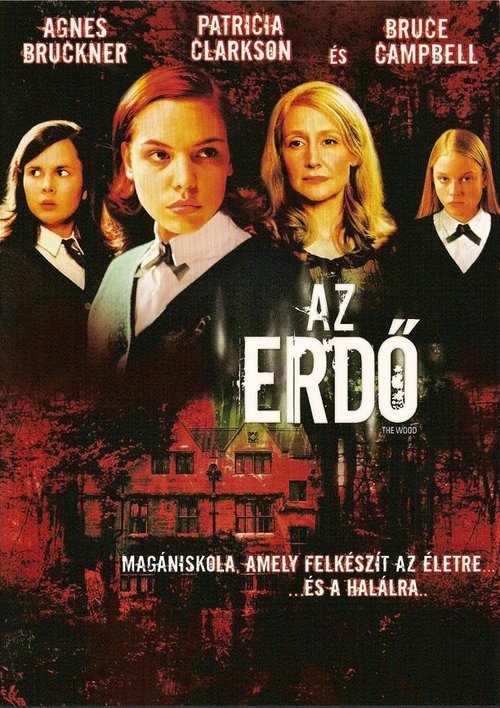 Az erdő movie poster player