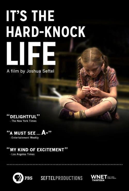 ANNIE: It's the Hard-Knock Life, from Script to Stage Movie Poster Image