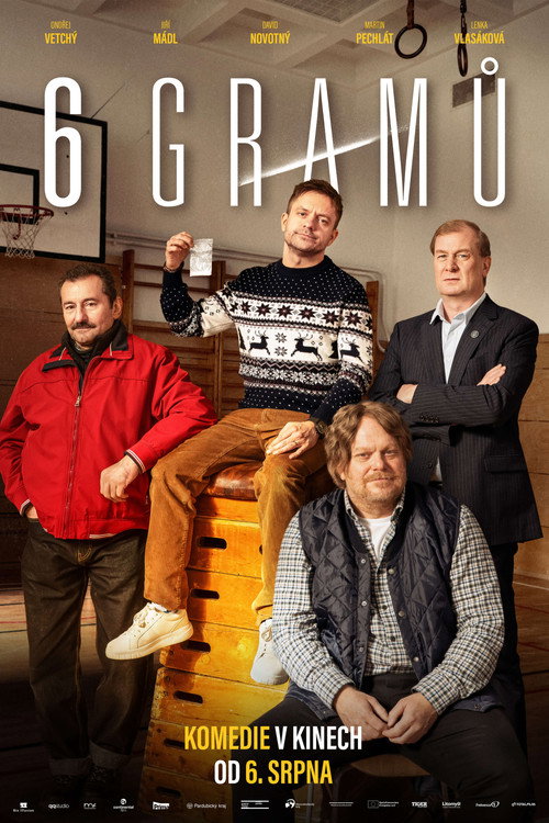6 grams poster