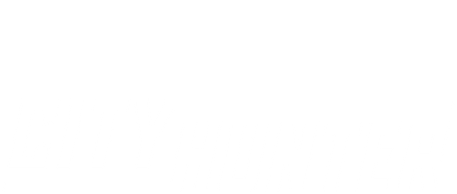 City Hunter