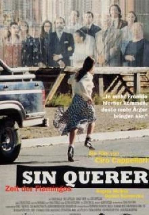 Sin querer (1997) poster