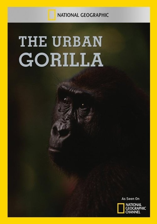 The Urban Gorilla (1991) poster