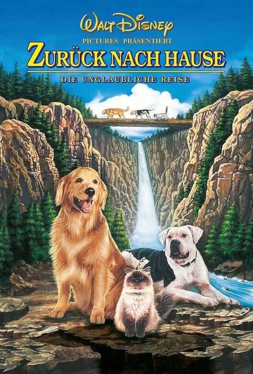 Homeward Bound: The Incredible Journey