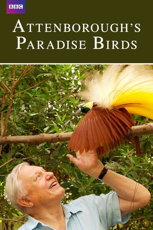 Where to stream Attenborough's Paradise Birds