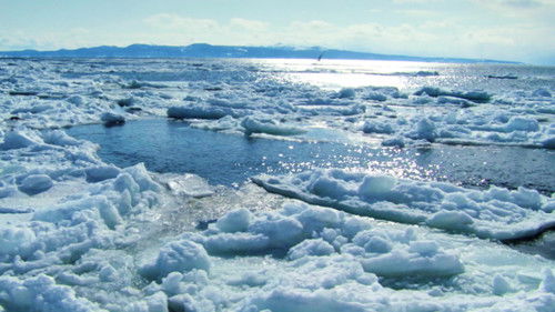 Earth's Coldest Places