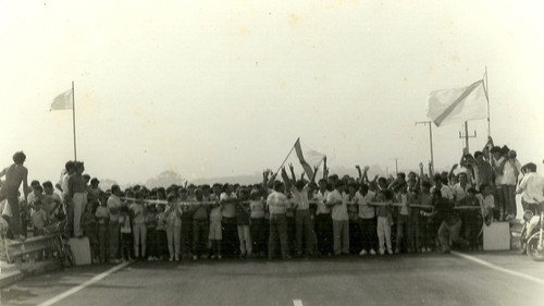 Testemuñas dunha illa