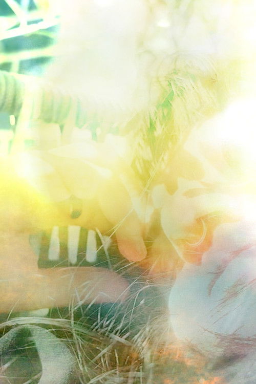 El Sol Detrás de tu Piel