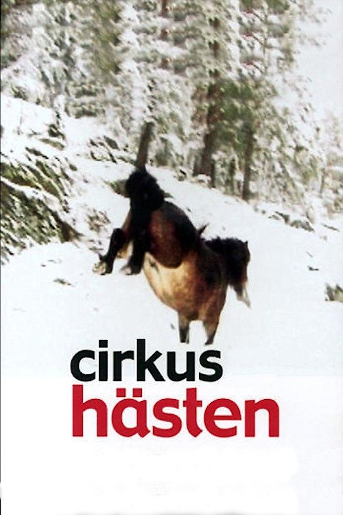 Cirkushästen (2003)