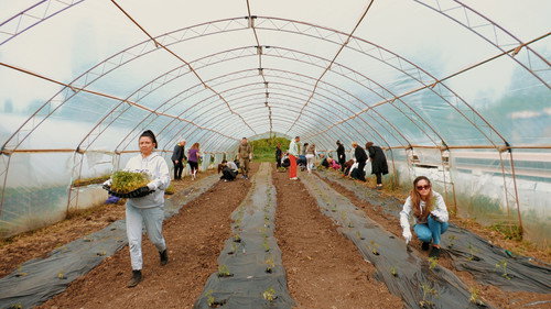 The Garden of Goodness