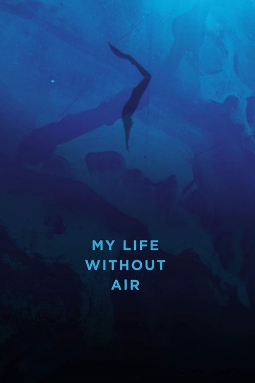 My Life Without Air poster