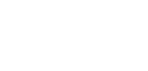The Mick