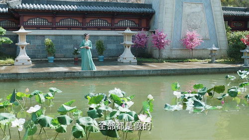 Image de l'épisode 15