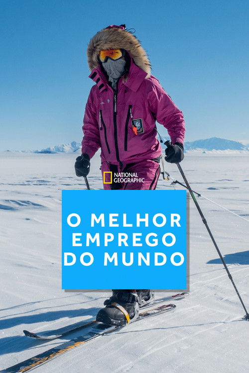 O Melhor Emprego do Mundo