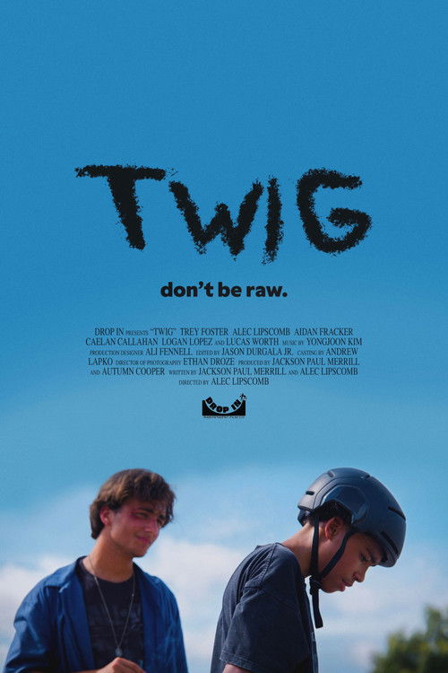 Affiche du film Twig
