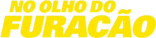 The Hurricane Heist