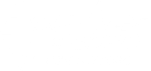 Roller Blade Warriors: Taken by Force