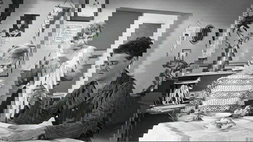 /d4zRl7qKDEDO4e8brrdK8bfhcgI.jpg