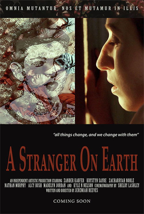 A Stranger On Earth poster