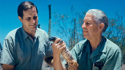 Escena 5 de Mutual of Omaha's Wild Kingdom