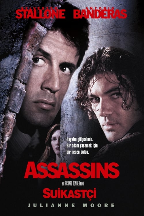 Assassins (1995)