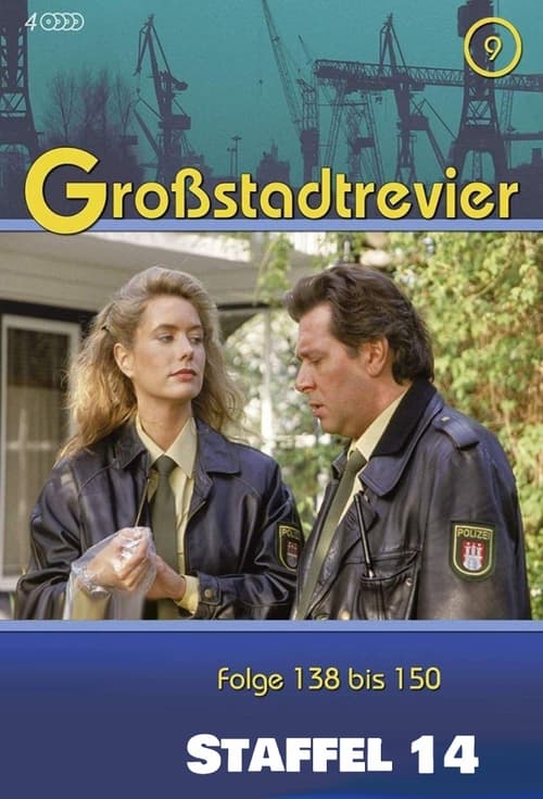 Where to stream Großstadtrevier Season 14
