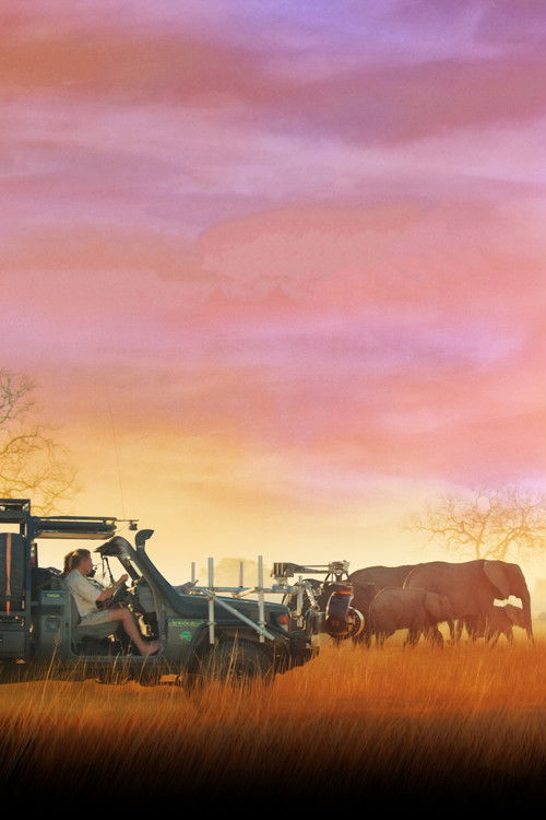 In the Footsteps of Elephant poster