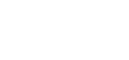 The Adventures of Saul Bellow
