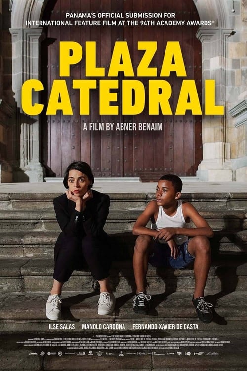 Poster Plaza Catedral 2021