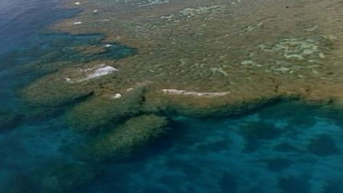 Where Worlds Collide