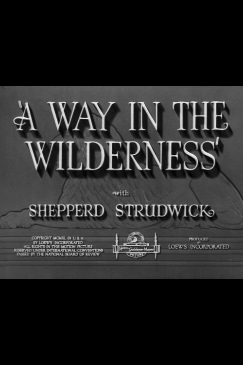 A Way in the Wilderness