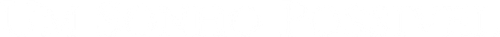 Um Sonho Possível - Logo 4