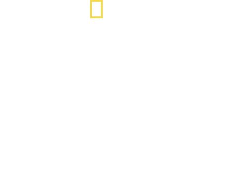 Inside North Korea: Then and Now with Lisa Ling