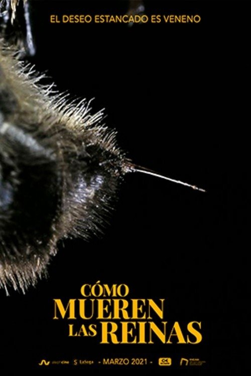 Cómo mueren las reinas movie poster player