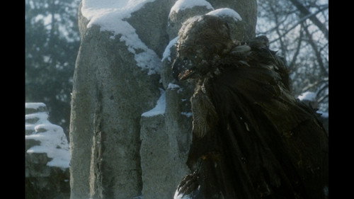 Beauty and the Beast — still 19