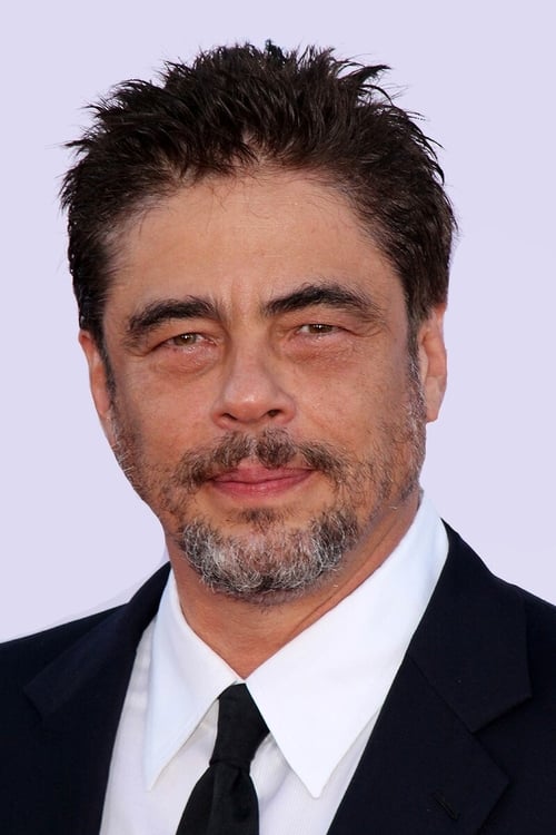 Kép: Benicio del Toro színész profilképe