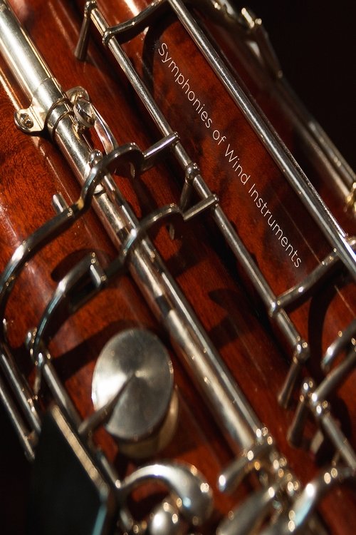 Symphonies of Wind Instruments movie poster player